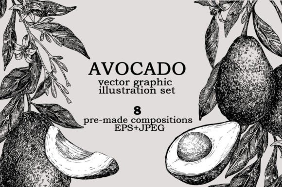Download Avocado Vector Graphic Illustration Set - Avocado vector Collection